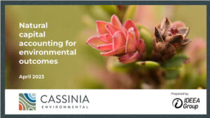 Cassinia Report Cover small