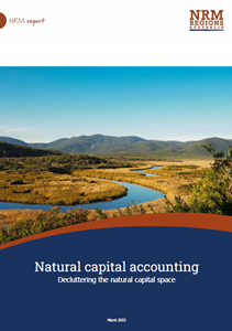 Decluttering the natural capital space cover